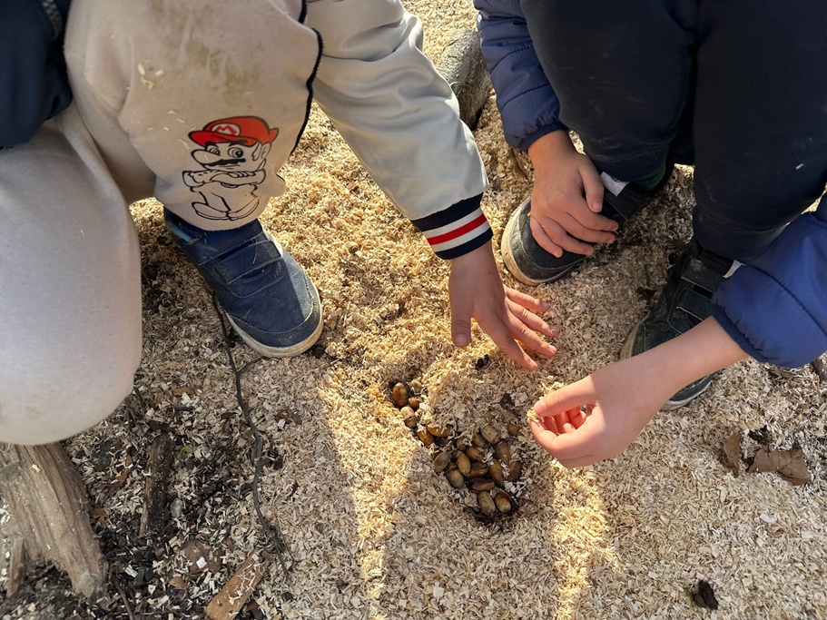 Djecji vrtic Jezeva kucica Beretinec 2 20250905