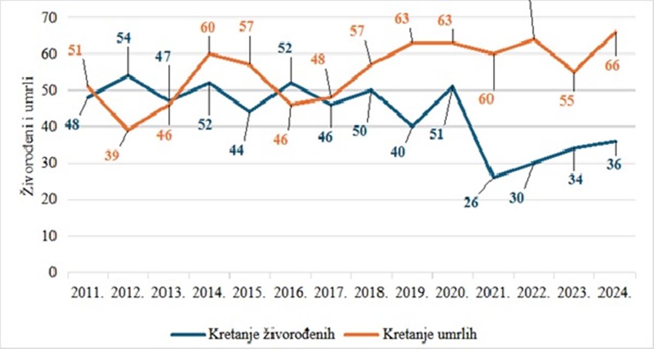 Sracinec slika 3 20260320