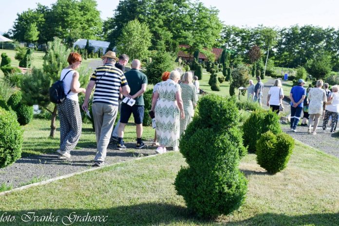 Susret sa zelenom carolijom2