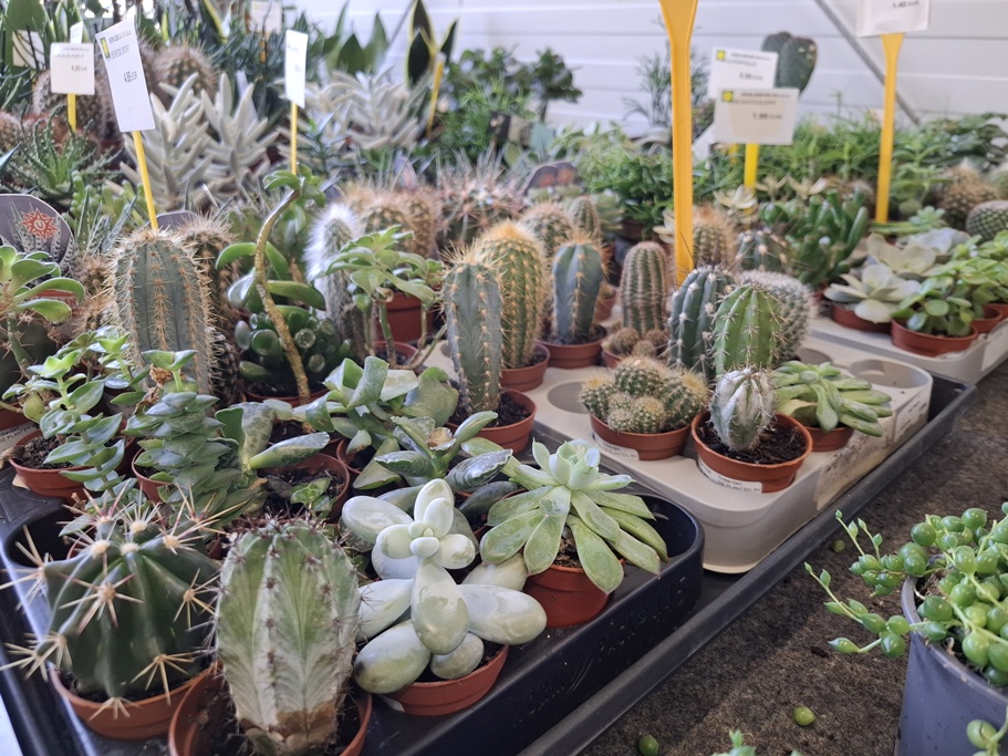 Vrtni centar Iva Nedeljanec 14