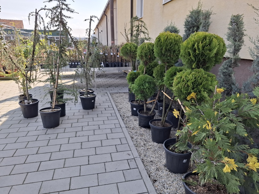 Vrtni centar Iva Nedeljanec 4