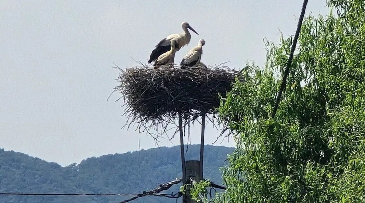 rode monitoring JU Priroda Varazdinske zupanije 2 20250714