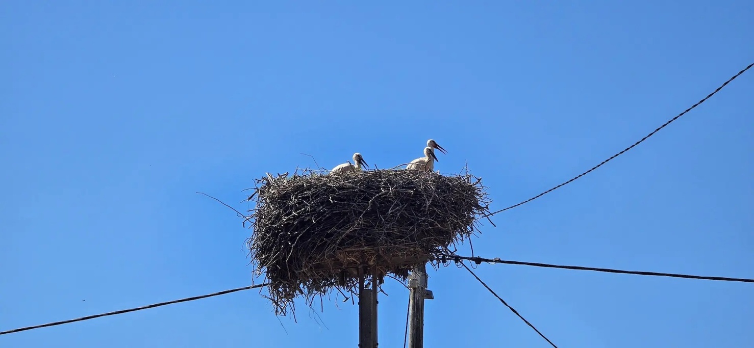 rode monitoring JU Priroda Varazdinske zupanije 3 20250714