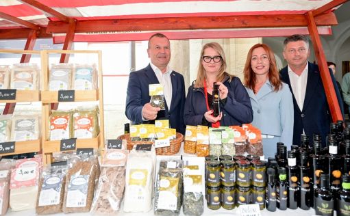 Izlozba_bucinog_ulja 14 20250524.jpg