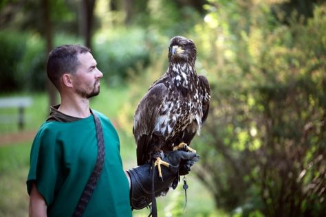 aquafest 11 20250608.JPG