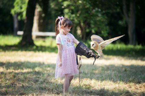 aquafest 8 20250608.JPG