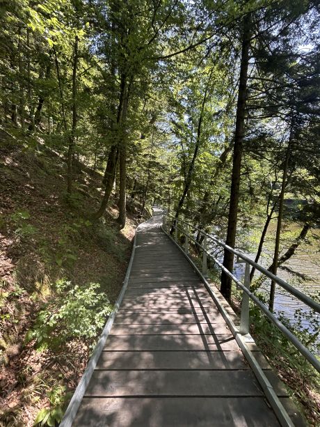 Prvi Grofovski pancir  15.jpg