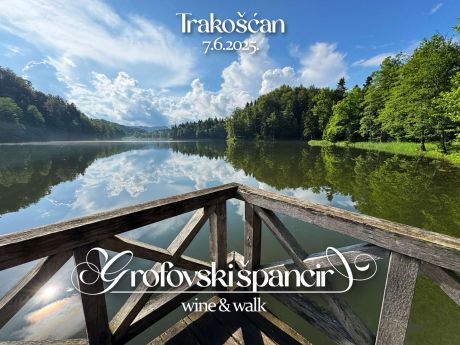 Prvi Grofovski pancir  18.JPG