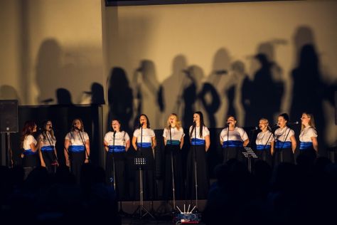 koncert pod zvijezdama 2.jpg