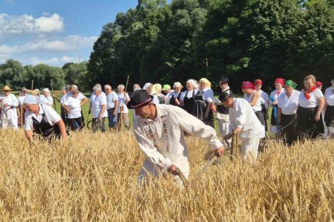 trnovec-zetvene svecanosti 10 20250630.jpg