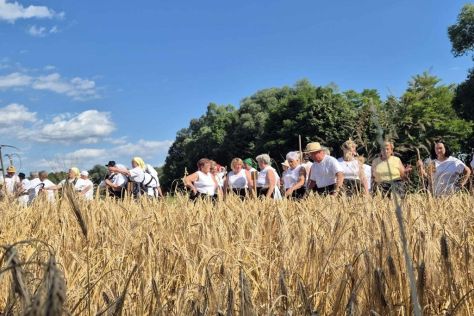 trnovec-zetvene svecanosti 13 20250630.jpg