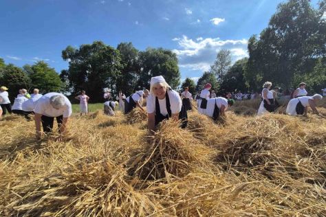 trnovec-zetvene svecanosti 3 20250630.jpg