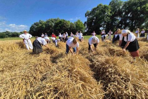 trnovec-zetvene svecanosti 4 20250630.jpg