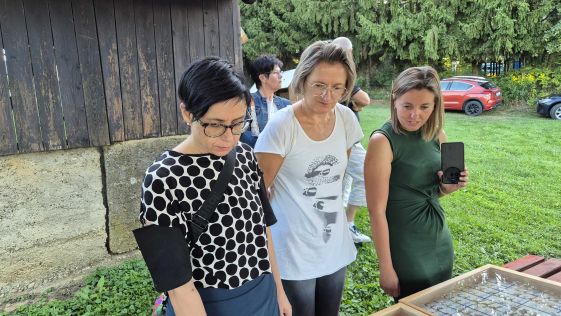 Matulov grunt - Tamno nebo nestaje - foto RR 12.jpg