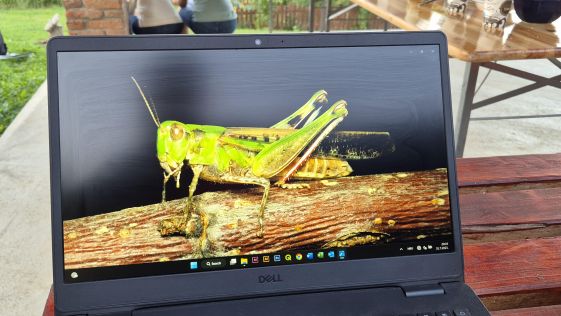 Matulov grunt - Tamno nebo nestaje - foto RR 38.jpg