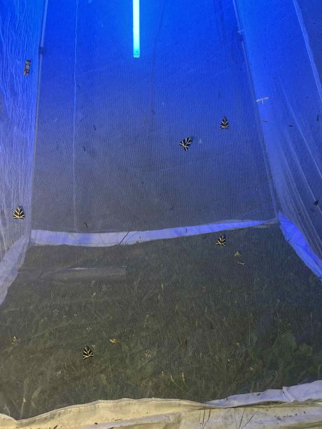 Tamno nebo nestaje - foto Mihaela Mesaric 10.jpg