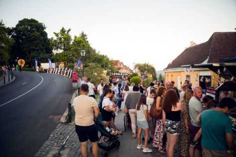 lovreevo festival27.jpg