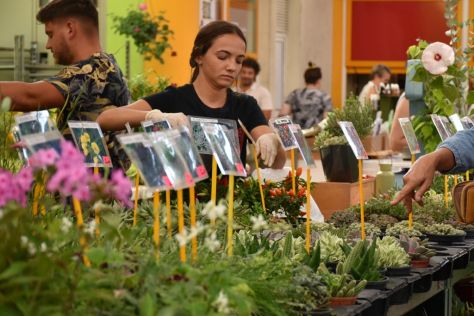 Varazdinski plac trznica 1608 8 20250816.jpg