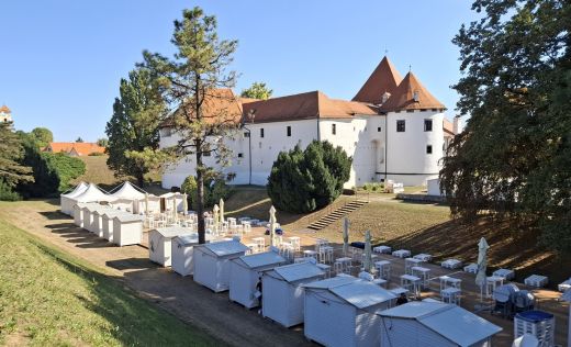 Spancirfest Grad Varazdin gradskim ulicama 6 20250818.jpg