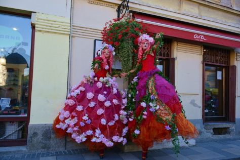 utorak 12 20250827.jpg