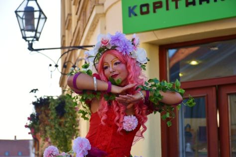 utorak 14 20250827.jpg