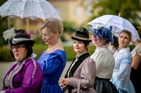 Susret povijesnih postrojbi Grad Varazdin 7 20250914.jpg