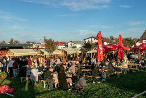 sracinec-kestenijada-velika graba 13.jpg