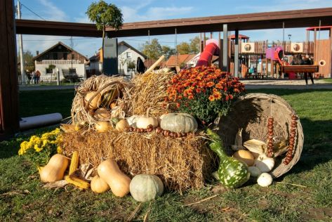 sracinec-kestenijada-velika graba 30.jpg