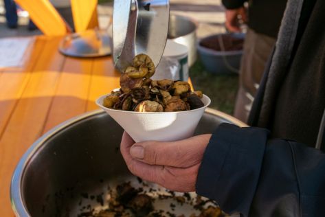 sracinec-kestenijada-velika graba 51.jpg