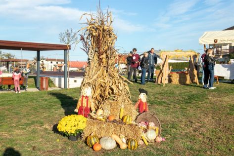 sracinec-kestenijada-velika graba 53.jpg