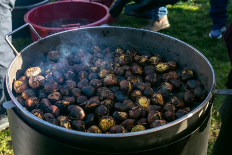 sracinec-kestenijada-velika graba 81.jpg