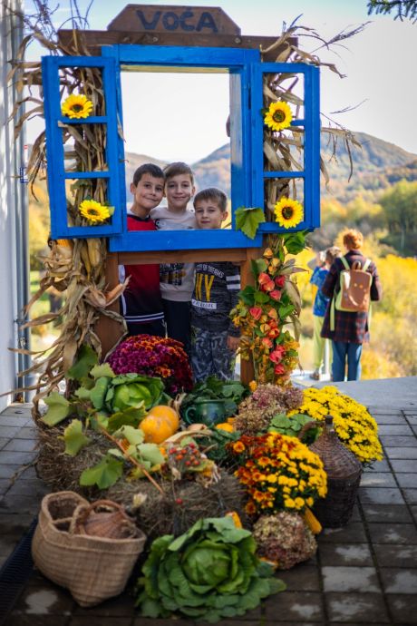 Otvori galeriju Etno_Voca_076.jpg