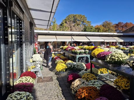 Otvori galeriju cvijece blagdan svi sveti 16 20251028.jpg