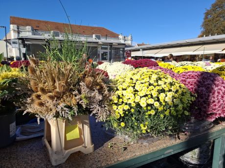 Otvori galeriju cvijece blagdan svi sveti 18 20251028.jpg