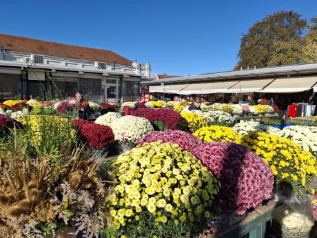 Otvori galeriju cvijece blagdan svi sveti 19 20251028.jpg