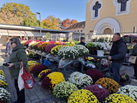 Otvori galeriju cvijece blagdan svi sveti 20 20251028.jpg
