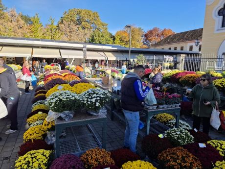 Otvori galeriju cvijece blagdan svi sveti 21 20251028.jpg