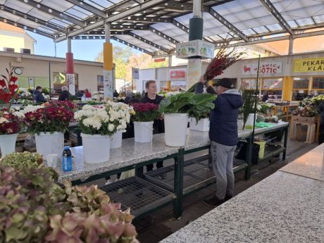 Otvori galeriju cvijece blagdan svi sveti 23 20251028.jpg