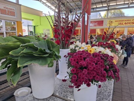 Otvori galeriju cvijece blagdan svi sveti 24 20251028.jpg