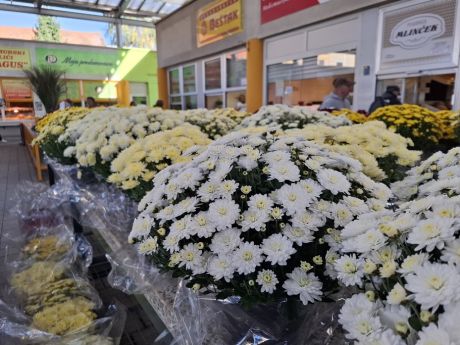 Otvori galeriju cvijece blagdan svi sveti 27 20251028.jpg