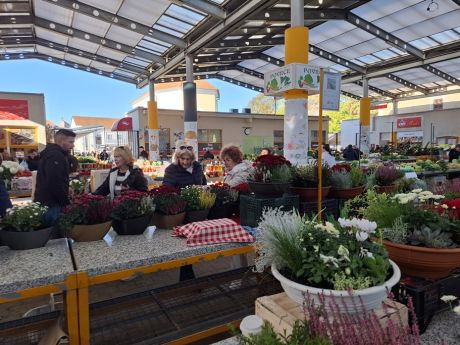 Otvori galeriju cvijece blagdan svi sveti 28 20251028.jpg