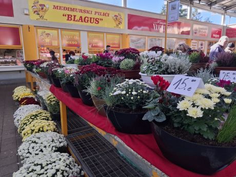 Otvori galeriju cvijece blagdan svi sveti 31 20251028.jpg