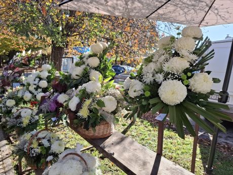 Otvori galeriju cvijece blagdan svi sveti 7 20251028.jpg