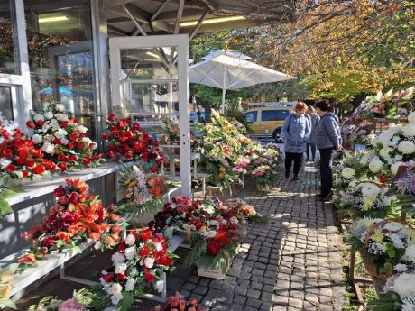 Otvori galeriju cvijece blagdan svi sveti 8 20251028.jpg