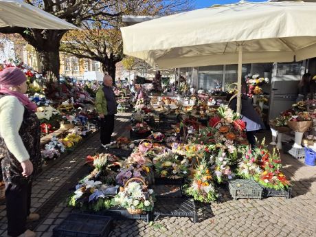 Otvori galeriju cvijece blagdan svi sveti 9 20251028.jpg