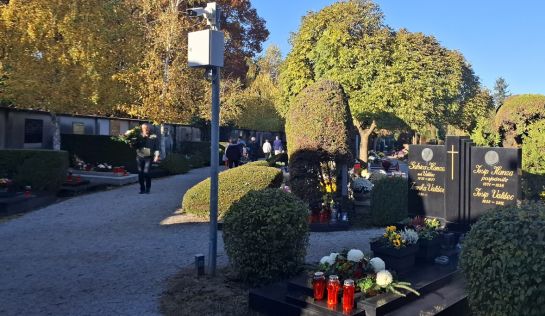 Svi sveti groblje Varazdin 2025 18 20251101.jpg