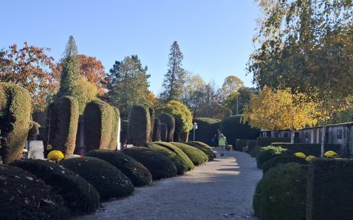 Svi sveti groblje Varazdin 2025 5 20251101.jpg