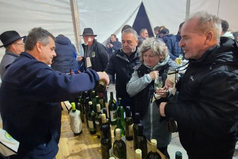 Varazdinske Toplice martinje 1 20251109.jpg