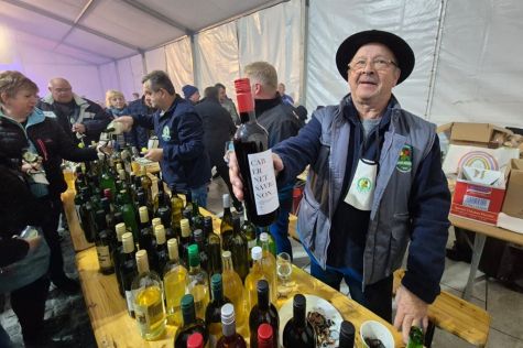 Varazdinske Toplice martinje 2 20251109.jpg