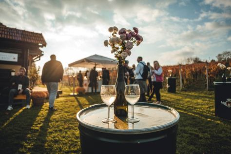 wine and walk 12.jpg